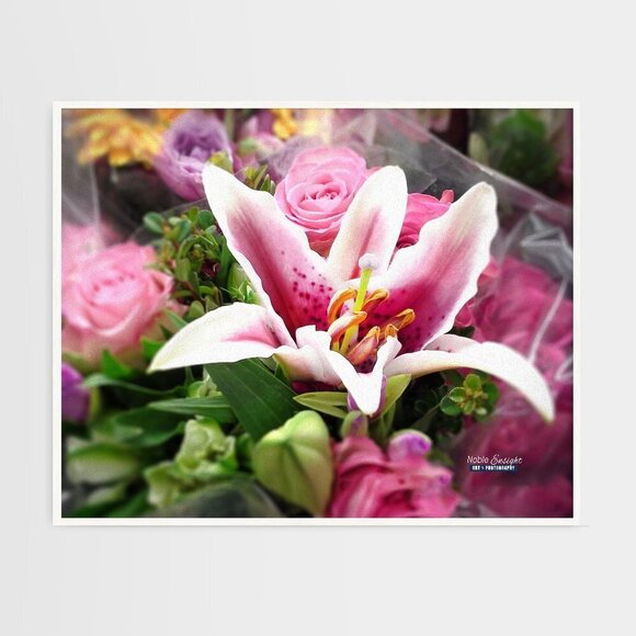 20x30 Asiatic Lily Rosella’s Dream Pink Flowers Oil Painting Art Poster Print‎ - Picture 5 of 5